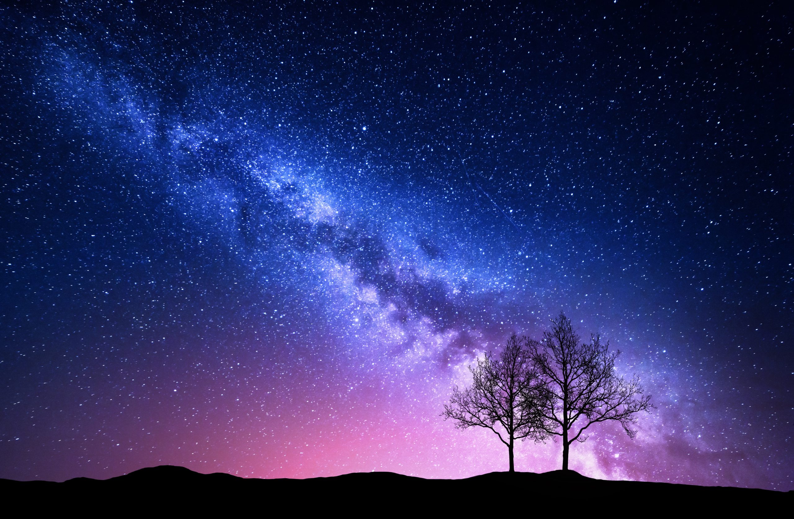 Starry sky with pink Milky Way and trees. Night landscape – Enlightened